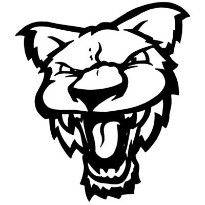 Wildcat